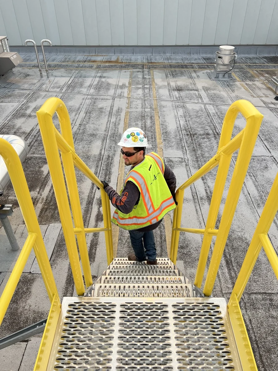 Installed ladder and roof access system